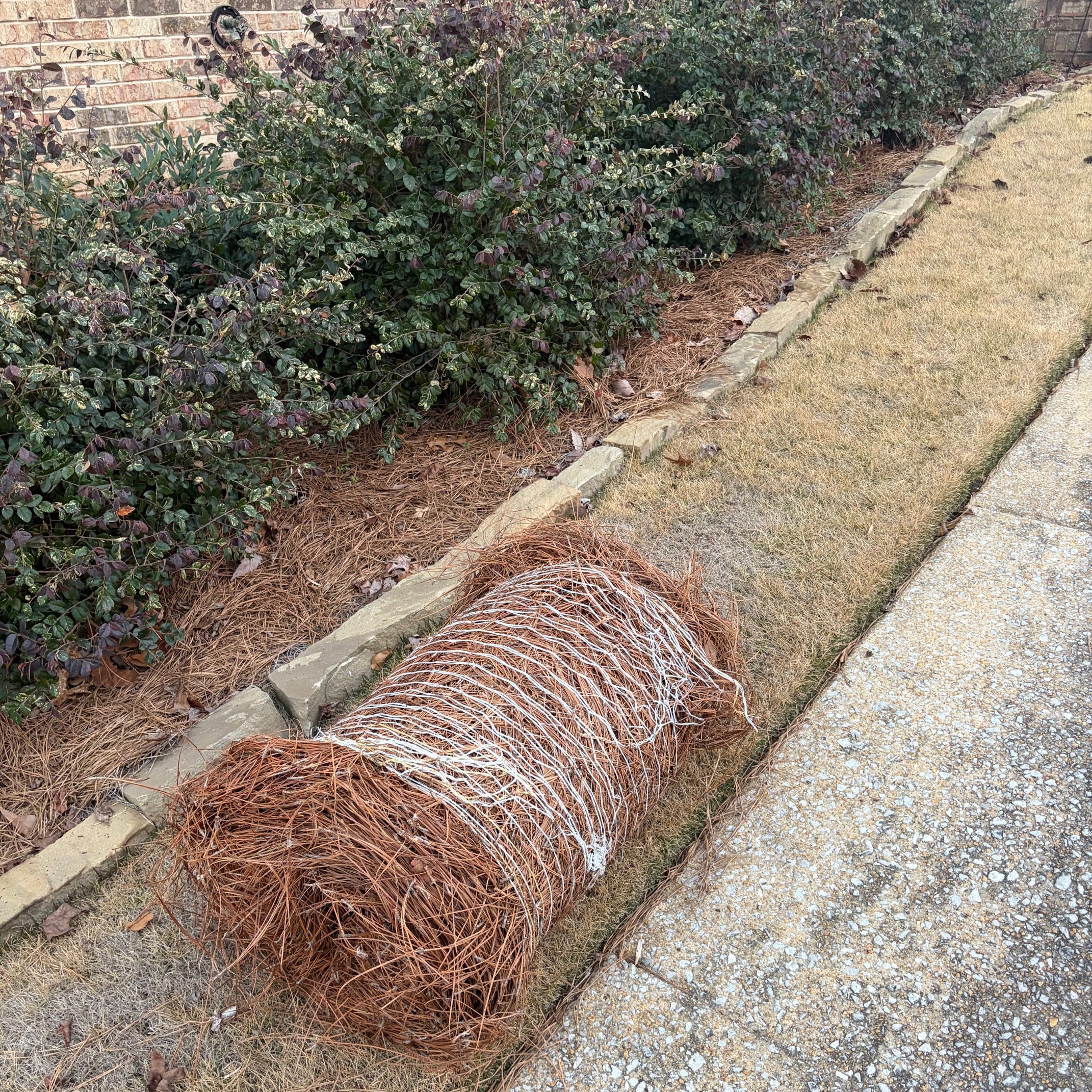 one roll of pine straw on a patch of grass next to cement and bushes